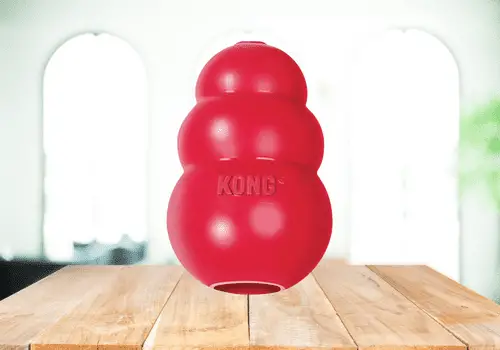 Kong Toy Original