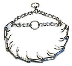 Prong Collar