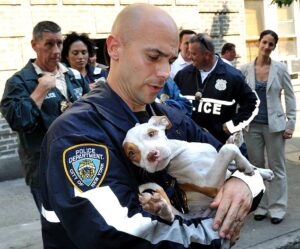 police and a pitbull