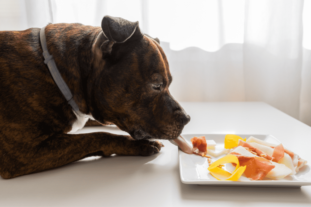 What is the best shop food to feed a pitbull