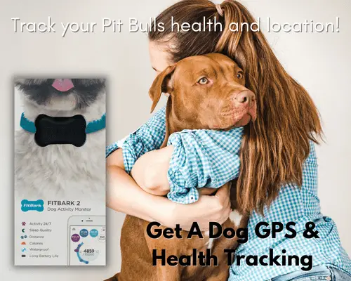Get A Dog GPS & Health Tracking