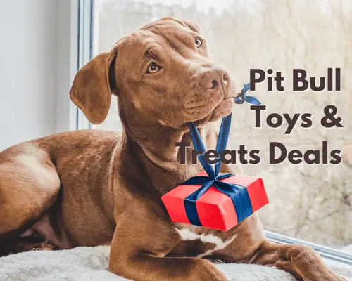 Pit Bull Toys & Treats Deals