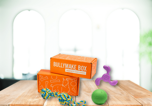 bullymake box