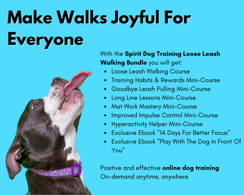 Loose Leash Walking Bundle