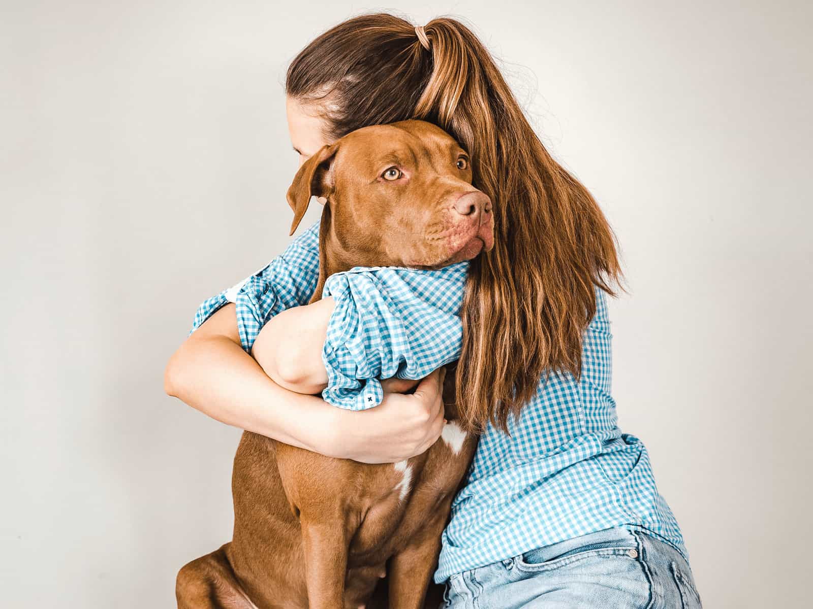 Pit Bulls Experience Abuse
