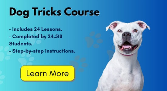 Dog Tricks Course
