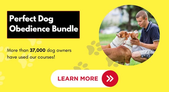 Perfect Dog Obedience Bundle