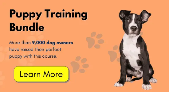 Puppy Training Bundle