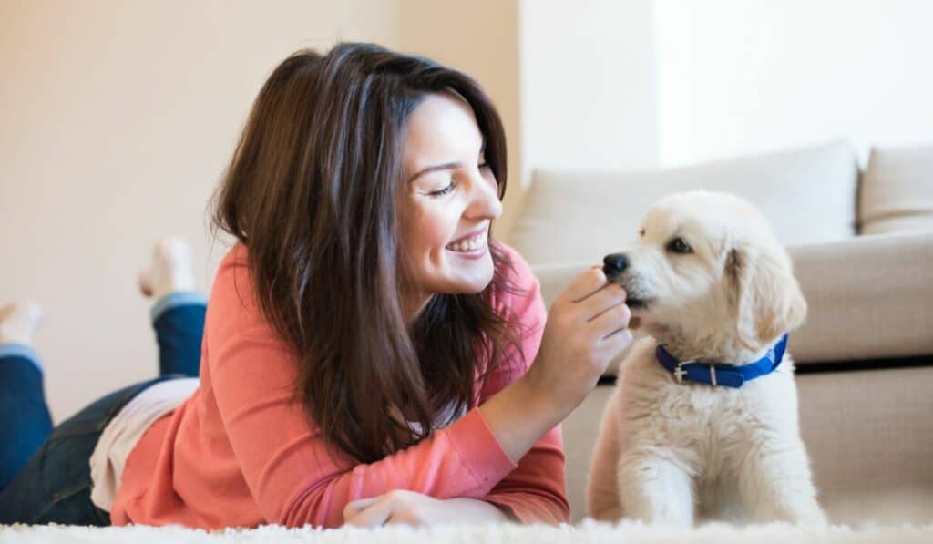 Puppy Essentials: A Checklist for New Dog Owners